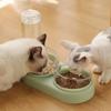 Classic Pet Cat Bowl Automatic Feeder Dog Cat Food Bowl With Water Fountain Double Bowl Drinking Raised Stand Dish Dog Bowl For