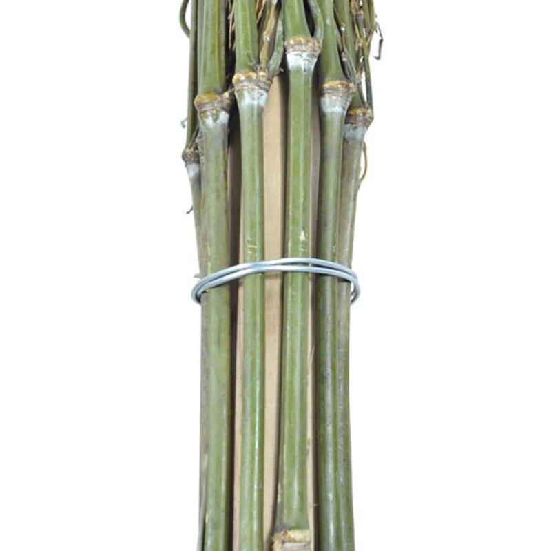Outdoor Bamboo Yard Broom