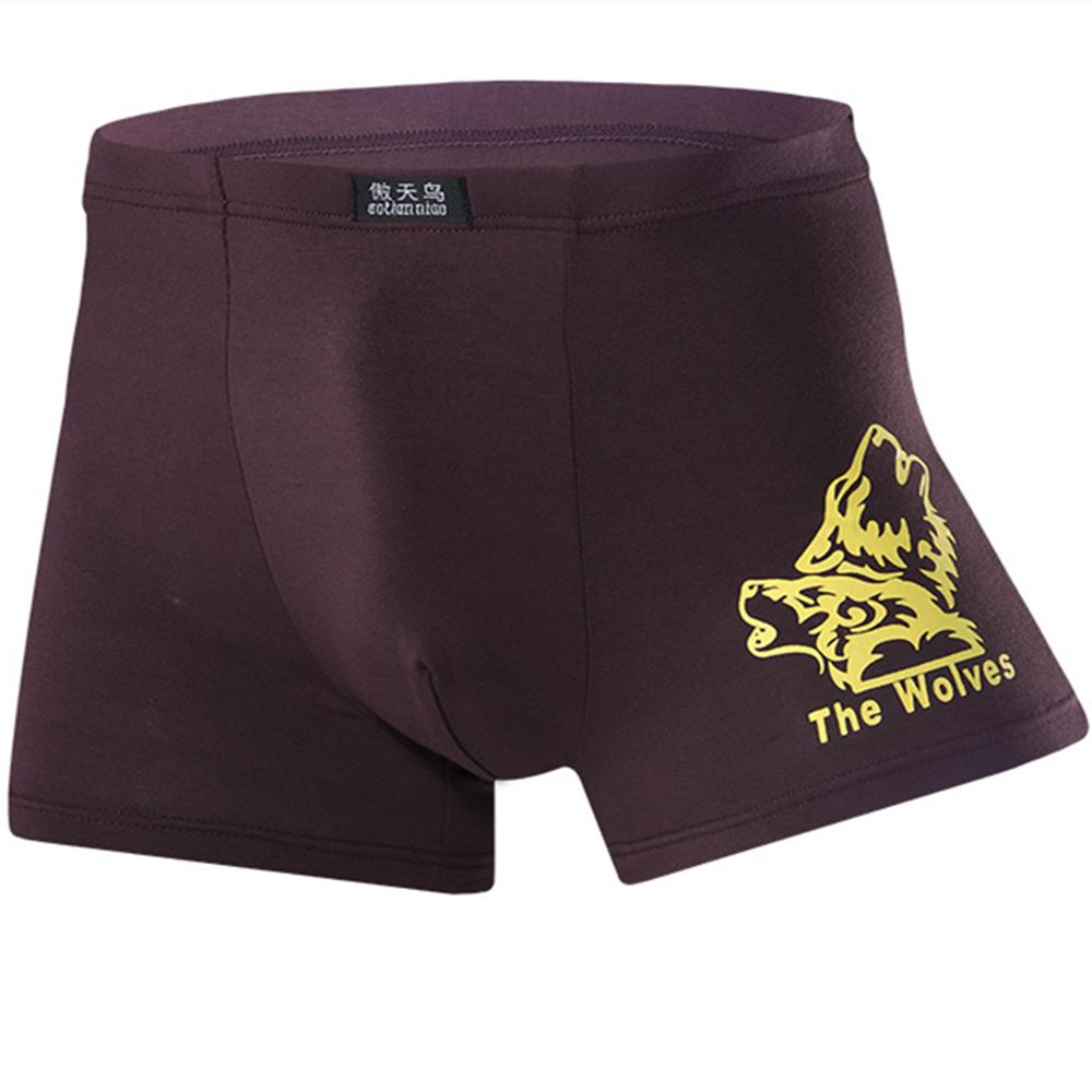 4 Pcs Men's Underwear Printed Boxer Shorts Youth Breathable Modal Underpants