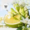 Ryo Floral Tea Refreshing Anti-Dandruff Shampoo