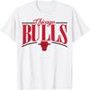 NBA - Футболка с логотипом Chicago Bulls (Арка)
