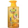 Qinyue Ginger & Cypress Leaf Hair Loss Control Shampoo