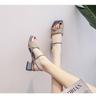 French-style Thick-heeled Sandals Fairy Style 2025 Summer New Mid-heel with High-end Fashion Shoes