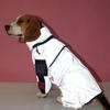 Reflective Pet Jacket Waterproof Dog Jumpsuit Dog Clothes Large Dog Raincoat  Medium Large Dog