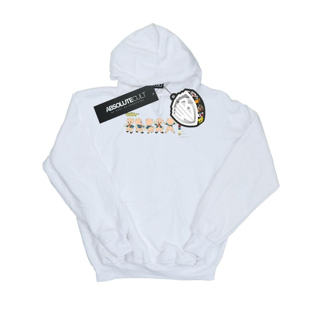 Looney Tunes Mens Porky Pig Colour Code Hoodie