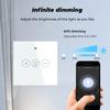 Tuya WiFi диммерный переключатель светодиодный светильник приложение Smart Life беспроводной пульт дистанционного управления умный настенный сенсорный выключатель для Alexa Google Home