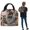 The Show Niall Horan Insulated Lunch Bag for Women Children Leakproof Food Boxes Thermal Lunch Box Tote