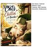 Important Date Tracker Cats Chillin' with Book 2027 Calendar, 12 Month Monthly Planner, Thick Paper Planner Daily Planning Wall Calendar for