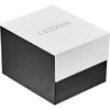 Citizen Ecosphere Black CA4184-81E Men's Watch with Date Function and Water Resistance