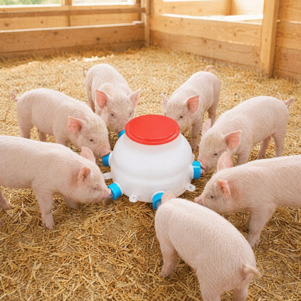13 Pcs Set 6 Nipples Lamb Milk Bottle Thickened Piglet Feeder Bottle Young Livestock