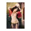Sexy Nude Woman Scandinavian Tulle Oil Painting On Canvas Art Work Poster Print Modern Wall Art Living Room Decoration Picture
