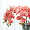 Simulation flower feel Phalaenopsis, living room bedroom home decoration ornament, fake flower bonsai
