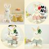 Adorable Warm Sun Fruit Rabbit Plush Toy Soft Stuffed Doll For Kids Bedtime Gift
