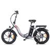 FAFREES F20 Складной Электровелосипед Для Взрослых 20 Дюймов Толстые Шины Езда На Открытом Воздухе Электровелосипед 36В16Ач Аккумулятор 250Вт Мотор Городской Транспорт Электрический Велосипед