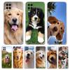 Прозрачный чехол для телефона Samsung Galaxy A13 A51 A71 A21S A12 A11 A31 A52 A41 A23 A53 A73 A32 5G A03S Чехол Золотистый ретривер Друг