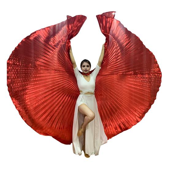 1 Set Performance Telescopic Rod 360 Wings Egyptian Degree Belly Dance Cape with Costume Pleated Bright