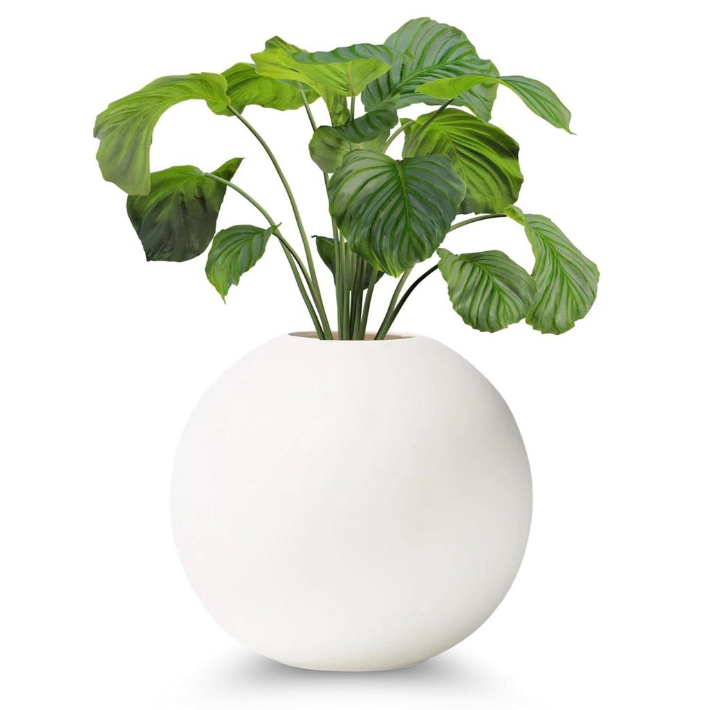Новейшая керамическая 'Белая круглая ваза' 4 дюйма - Набор из 1 | Декоративная круглая ваза для сухоцветов и пампасной травы | Вазы для домашнего декора,