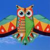 Owl Patterned Kites High Visibility Encourages Motor Skills Development Outdoor Exploration Gift