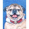 Новый 5D DIY алмазная живопись картина маслом собака Алмазная вышивка стразы ремесла полная круглая дрель домашний декор художественный подарок