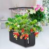 Plant Growing System Compact Self Watering Planter for Family Domestic Women