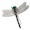 MAIBED Insect Repellent, Giant Dragonfly 2024, 1/1 Scale, Almost Identical To the Real Thing, 12cm, with Safety Pin, Strap, and Clip. Realistic PVC Dr