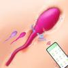 APP Bluetooth Control Panty Wearable Mini Vibrator for Women G Spot Massager Wear Vibrating Love Egg Female Sex Toys for Adults
