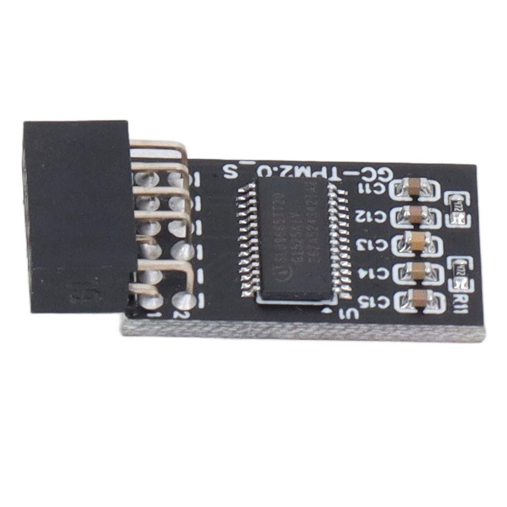Модуль TPM 2.0 LPC SPI 12Pin Remote Card Encryption Security Board Аксессуар для GIGABYTE