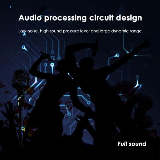 E300 Handheld Wired Condenser Microphone for Audio Broadcast Sound Recording