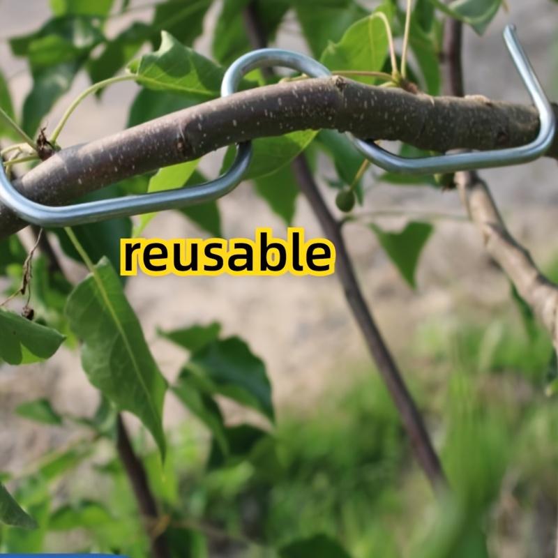 [50 шт. Металлический отгибатель ветвей] 50 шт. Прочный металлический инструмент для отгибания садовых ветвей - Многоразовый отгибатель ветвей фруктовых деревьев для формирования и тренировки деревьев