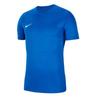 Childrens/Kids Dry Park VII Jersey