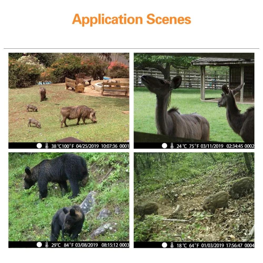 WIFI Камера слежения с прямой трансляцией 4K 30MP Управление через приложение Bluetooth Наружные камеры для охоты Ночное видение WIFI900PRO Наблюдение за дикой природой