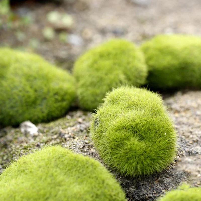 Fake Stone Artificial Moss Rocks Home Decor Micro Landscape Simulation Plant DIY Decoration for Garden and Crafting Home Decor
