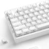 White Crystal OEM Profile Custom Keycaps 136 Key Set Keys Compatible for Mechanical Keyboards US Layout White Jelly-XVX Side-Engraved