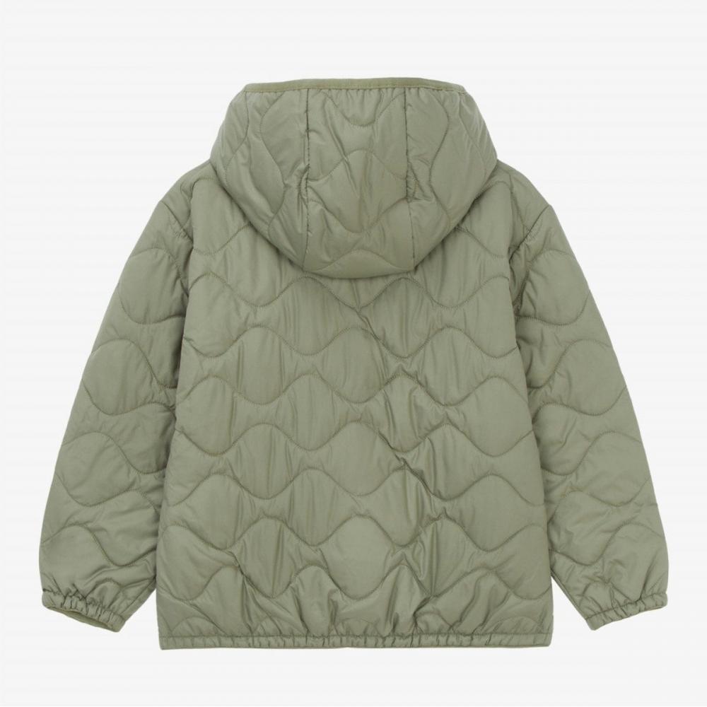 The North Face Детская толстовка с капюшоном Milo Heat Зеленая Nj3nr55t