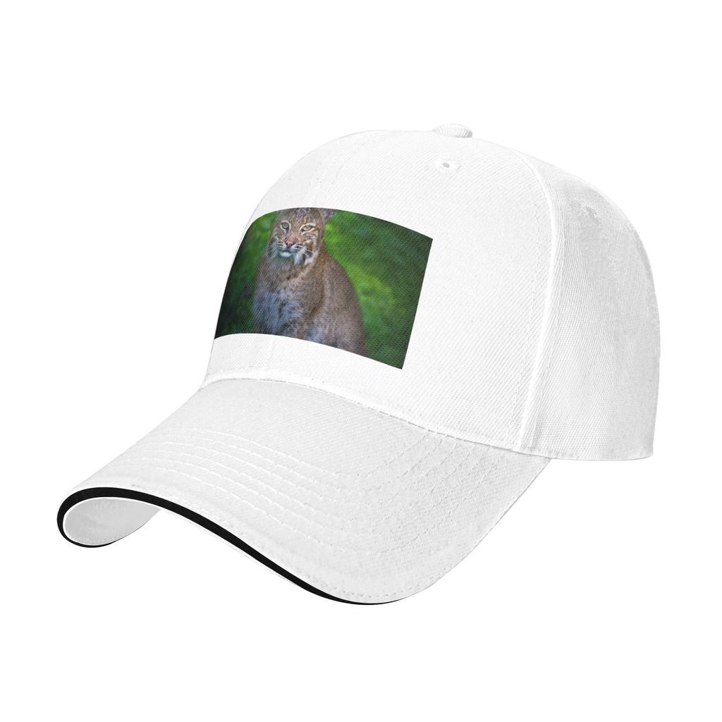 Fashion Portrait of a FeUnisex Bobcat Curved Brim Baseball Cap Photo Shooting Brand Cap