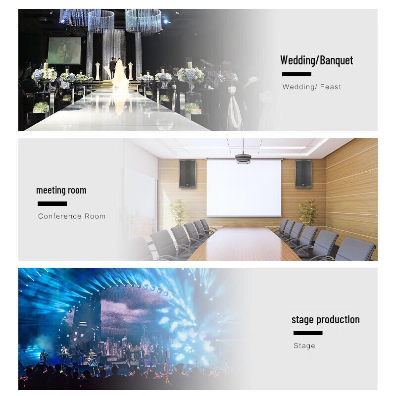 HuiDu TP Series Professional Conference Speaker System