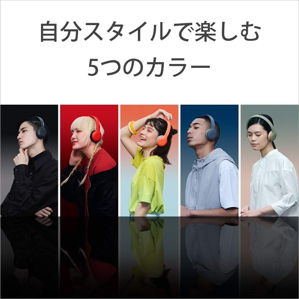 Sony Wireless Headphones High Resolution Compatible Amazon Alexa Installed Bluetooth Up To 30 Hours of Continuous Playback High Resolution Equivalent