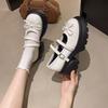 Platform French Mary Jane Women's Shoes 2025 Spring and Summer New Small Single Shoes Platform Sole with Skirt Small Leather Shoes Women