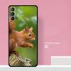 Squirrel Phone Case For Samsung Galaxy S25 S26 Ultra S20 S21 S22 S23 S24 Plus S10 S25 FE Cover Coque