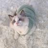 Adorable Autumn And Winter Cat Warm Thick Vest, To Prevent Shedding Christmas Gift