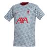 Футболка Liverpool 2023 Pre-Match с геометрическим узором и коротким рукавом, мужская, серая DR4904-013