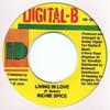 7inch Record RICHIE SPICE - Living In Love DB325 Digital-B 2006 Jamaica Reggae, Ska & Dub Used