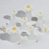 Soft Non-pinch Toe Separators 8 Pcs Reusable Plastic Cute Flower Pearl Designs for Long Time Pedicure Nail Polish