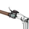 ONESPORT OT02 PRO Urban electric bicycle 250W motor 20*1.35 inch tires 36V 5.2Ah power supply maximum load capacity 80 kg.