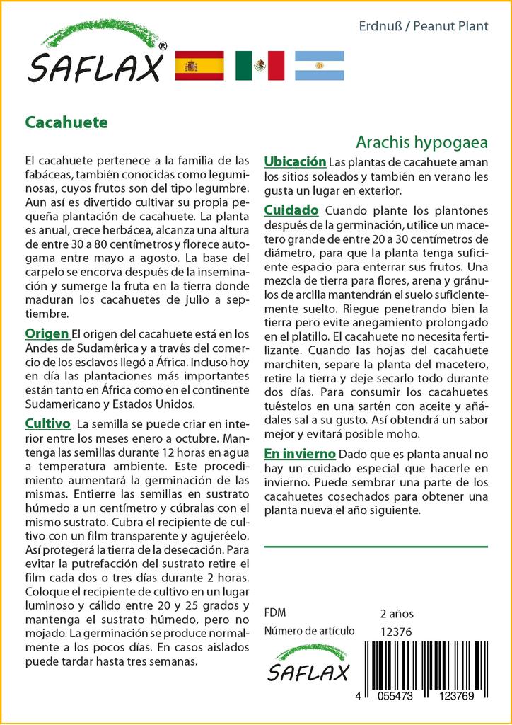 SAFLAX Арахисовое растение - 8 семян - Arachis hypogaea