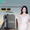 Soaiy SSK03 Портативная Bluetooth KTV колонка CN вилка (адаптер в комплекте)