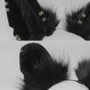 Cosplay Furry Animal Wolf Ears Hair Hoop Lolita Costume Cosplay Long Fur Headpiece for Halloween Party Decoration