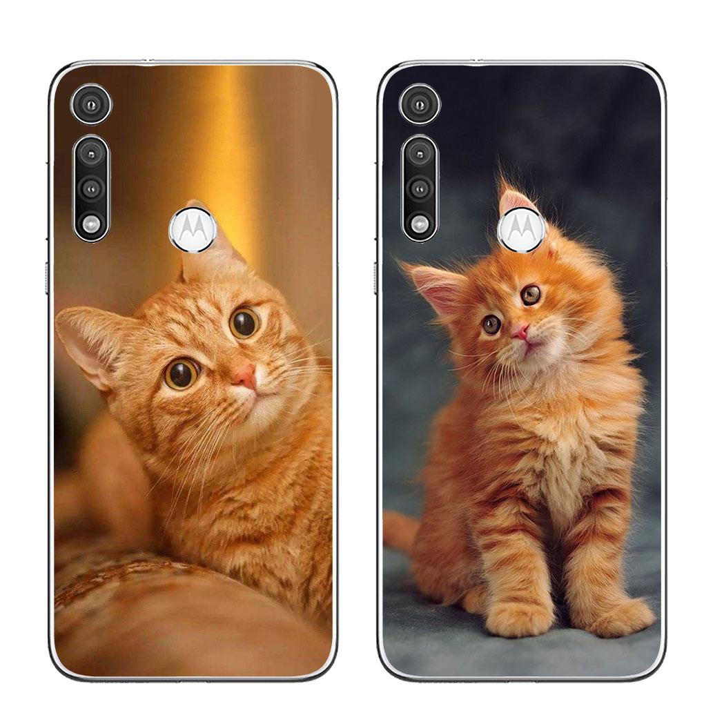 Мультяшный кот Котенок Кошки Чехол для телефона для Motorola Moto G13 G14 G53 G54 G62 G72 G82 G84 E13 E20 G42 G32 G23 G22 Мягкий чехол