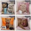 Русская голубая Британская короткошерстная Наволочка Декор Милый кот Домашнее животное Животное Наволочка Мягкий плюшевый Чехол для подушки для машины Дивана Дома