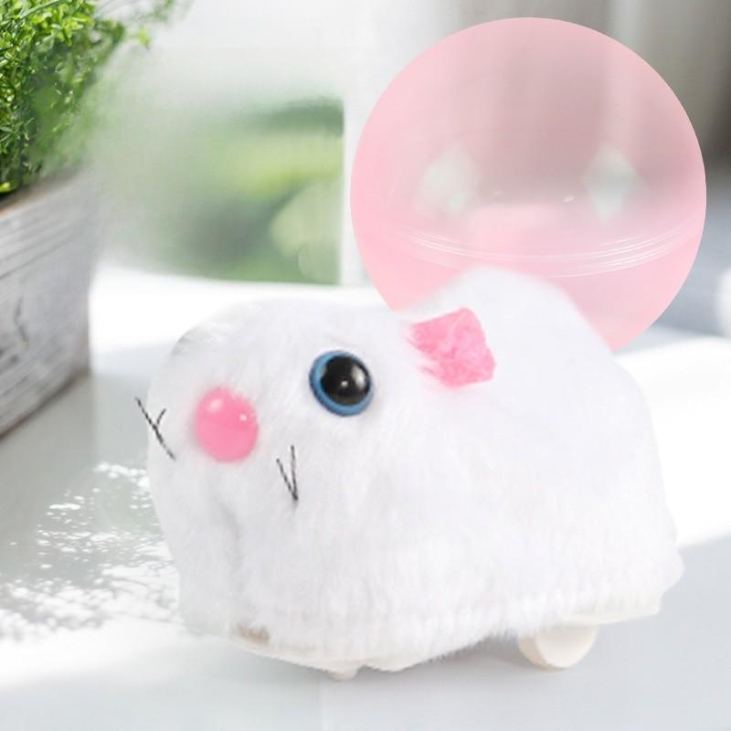 Pet Toy Hamster Rolling Ball Interactive Squeaky Toy For Cats And Kids